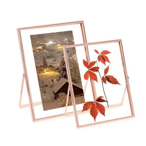 SAEGYPET tHgt[ 7 ʐ^Đʐ^t[ 2 KX ܂肽ݎ ƑAFlAƎAAVzj fUC