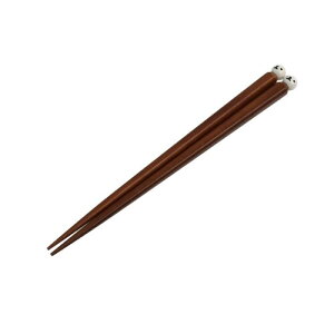 Sabu [[tY@؋ʔ@S@18cm@݂邭˂^ x[W 419805