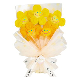 LOZIZI X}Ct[ ؍ ʂ݉ԑ u[P ͂Ȃ  t[u[P  蕨 Mtg  v[g a LO ̓  ޏ FB j bZ[WJ