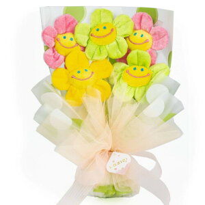 LOZIZI X}Ct[ ؍ ʂ݉ԑ u[P ͂Ȃ  t[u[P  蕨 Mtg  v[g a LO ̓  ޏ FB j bZ[WJ