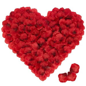 TRX Ԃт o KN    v|[Y LO a }`bNȖ o^Cf[ z[p[e ̉ Be oɃ[Y j (_[NbhC1000Z