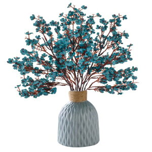 Bacucine JX~\E  { 6{ A[eBVt[ lH JX~ ԑ tFCNO[  VNt[ ԍ ͂Ȃ k u[P a Vz p[e