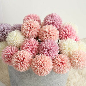  CeA ԑ  ͂Ȃ v[g Mtg Ǝ a EFfBO  Be p z[ 뉀 Lb` ItBX i p[eB[ ۂ 10{ }`J[s