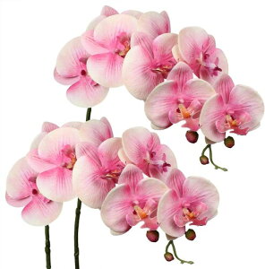 Villa Como  Ӓ  dp  2_Zbg 73CM ~ ފ  ͂Ȃ V{t[ tFCNt[ A  CeA ̉ 2_Zbg (sN2_, 73CM)