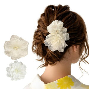 GFun ������ �w�A�A�N�Z�T���[ �� �N���b�v 2�Z�b�g ���� �ԉΑ�� ������ �a�� ���l�� ���Ǝ� ������ ���\�� �m�� �c�o�L �z���C�g