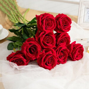 siawadeky  o  9{Zbg  ԑ  CeA A[gt[  u[P KN ԏ o^Cf[ ̓ a Mtg }`bNȗے rO K[fj