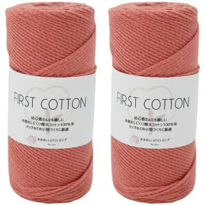 ���݂�craft�V���b�v �R�b�g��100�� �ю� FIRST COTTON(�t�@�[�X�g�R�b�g��) ��e�� 150g2�Z�b�g �ꊪ����150g ��150m �R�[������ �҂ݕ� �Ď� �ɑ� (05.�A���e�B�[�N���[�Y)