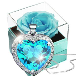 (Laluna) lbNX v[g {bNX Mtg {bNX WG[ {bNX ANZT[ o  KN ͂Ȃ \[vt[ Ό  WG[ P[X LO  