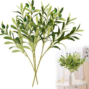 Bacucine I[u̗t  6{Zbg I[u lHϗtA 48cm tFCNO[ I[u̎} ϗtA vX`bN lHI[u̎} CeA  A ԑ u[P z[