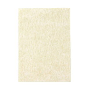 TOa pup (N[) (1Zbg100) (Py[W(14.8cm×10.5cm))