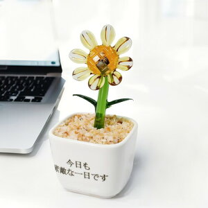 ElZ KXIuWF ~j`AЂ܂ 㑋ӃfBXvC ȐlHAfR[Vˎq