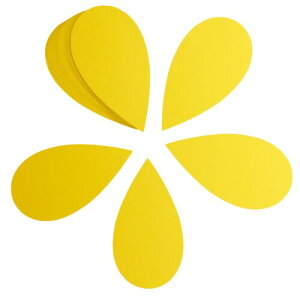 fBXvCJ[h Ԃт  iFj 100