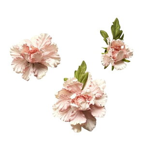 GFun �w�A�N���b�v �� �w�A���� ������ ���� �t�����[ ���f�B�X �w�A�A�N�Z ���� �a�� �a�� ���l�� ���Ǝ� ������ ���Ă΂� 3�_�Z�b�g �R�T�[�W�����p ���C�g�s���N