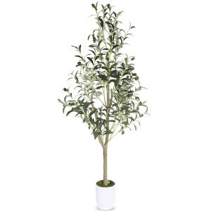 lHϗtA I[u̖ tFCNO[ 120cm  ϗt G} C CeA  b炸 sv ItBX z[ fR[V