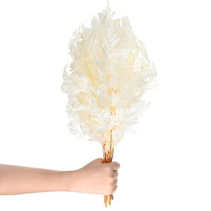 M METERXITY 10pbÑV_ 15"̓VR΃[istjEFfBOK[hu[P/z[p[eB[/DIYNtgfR[Vp A(zCg)