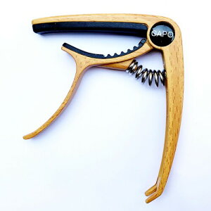 M^[J|AXvOAENpAAR[XeBbNEGLM^[p (5؂̐F)