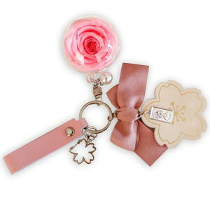 (beautylion) t[ L[z_[ ̓ v[g vU[uht[ J[l[V ւ̃v[g 蕨  ƃv[g AEj wj j L[`F L[