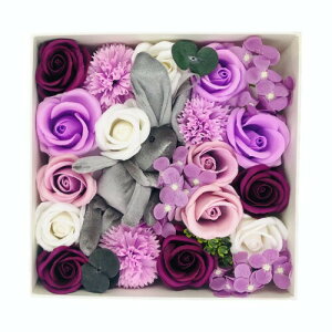 Ecoolda \[vt[ o [Y Mtg {bNX `Mtg ̓ ̓ җj a LO hV̓ 搶̓ v[g o^Cf[ j i ސEj 