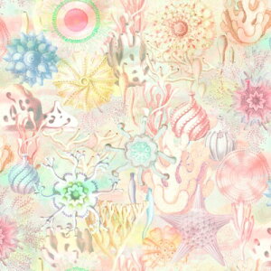 nora. ST1157 X蕿 C A^b` V[`O n |p  { sN Jbgς 22A