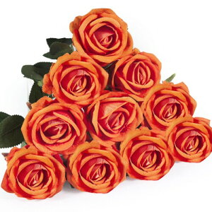 DECEED  o [Y KN 10{Zbg ԑ o^Cf[ u[P ̓  a Ԍa7cm×50cmiIWj