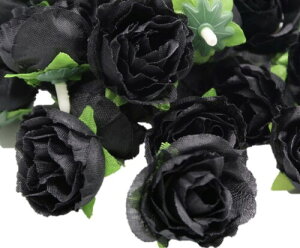 (Mikishin) o  50 3cm u[P [Y KN   (ubN)