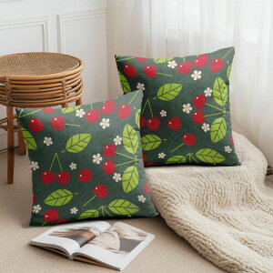 PAKAZA NbVJo[ ԂTN{ Ȕ t[c ʕ Č R i` |bv    45×45cm 2Zbg k NX}X Mtg a ̓ ̓ e