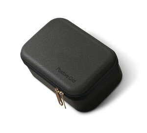 Positive Grid Spark GOpP[X Spark GO Case