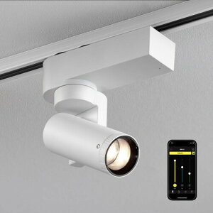 �u���p�قō̗p���ꂽ�㎿�Ȍ� �X�}�z�Ō��̌����𑀍�vSALIOT ���[�r���O�X�|�b�g���C�g (�{�̔� ���F4000K)