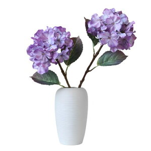 DIFEIUKI AWTC  2{Zbg z VNt[ st  ֑}   ͂Ȃ e[uZ^[s[X  p[eB[ z[fR[V DIYԍ ʐ^ B