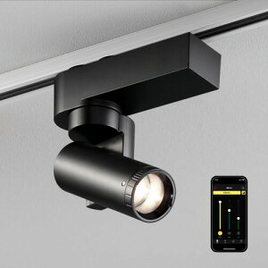 upقō̗pꂽ㎿Ȍ X}zŌ̌𑀍vSALIOT [rOX|bgCg ({̍ F4000K)