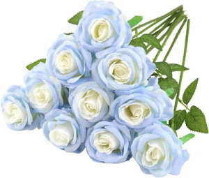 siawadeky  o ԑ 10{Zbg  Of[Vu[ KN u[P ͂Ȃ VNt[ { lH [Y ԑ CeA  }`bN a o