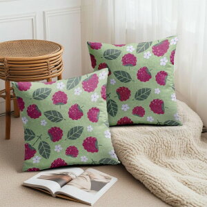 PAKAZA NbVJo[ Yx[̎ 炵ʎ t[c ʕ Č R i` |bv    45×45cm 2Zbg k NX}X Mtg a ̓ ̓