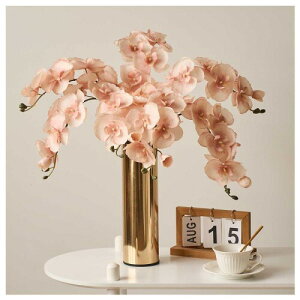 R`E  5{  Ӓ ͂Ȃ sv kX^C lHϗtA  Vv Ƃ̑ CeA  Mtgp t[AWg ʐ^Be JXj