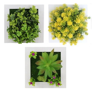 SALUDABLE ϗtA tFCNO[ CeA   EH[ Ǌ| 3_Zbg (CZbg)