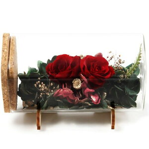 eB[gTCg vU[uht[ t[{g Mtg {bNX 1Zbg 6x12.5x6cm (o bh)