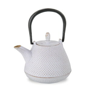 WA\VGCc 암S }{ ( h[ 0.4L - zCgS[h  ) eB[|bg J[|bg/{ z[[H t/`H|i Japanese Tea Pot souvenir
