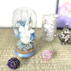 WelzoFLOWER vU[uht[ AW z KXh[ p  ͂Ȃ  ybg 蕨 CeA  ފ ~ V~ ~ 䋟 c (Cgu[)