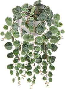 Villa Como tFCNO[ CeAO[ |bgt |gX A  V nMO ݂艺 Ǌ| lHϗtA  킢 (n[gJYi΁j, Ǌ|)