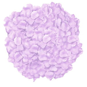 Ԃт  ӂԂ   y[p[V[  Ԍ j  o Be p (Cgp[v, 1000)