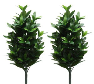 Yi SOKA SGI w َdl     50cm 2{ O O