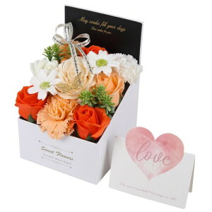 \[vt[ ͂Ȃ J[l[VƃõMtg{bNX  V{t[ ̓Mtg j ސEj Ǝ av[g  bZ[WJ[ht