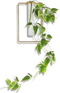 (Abvt[) Ǐ CeA  tFCNO[ Ǌ|ԕr Zbg CeAO[  k KX ֑} Ǌ|G wall decor (XNGAiAj)