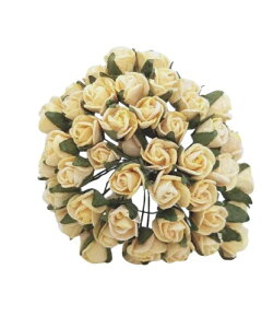  o ~jTCY N[F 50{ a  nhChf ~j`Ap y[p[t[ 5-8mm