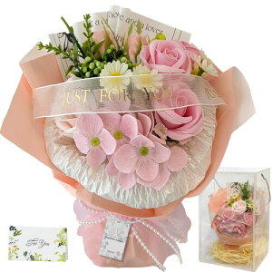 \[vt[ ԑ o ͂Ȃ t[ u[P KN  a } Mtg v[g 蕨 j TvCY CeA { (~XeBbNsN)