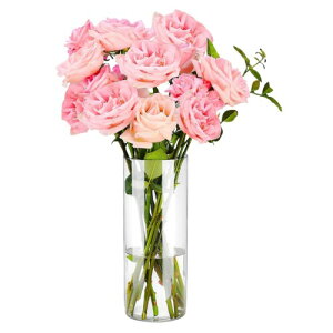 ԕr ȂEyʃAN  t[x[X k_fUC ^TCY ͔|//ԑΉ rOEQEItBXCeA iȑ蕨ɂ (30cm×10cm)