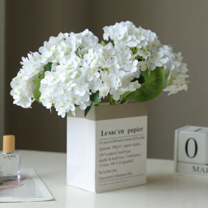 siawadeky  z AWTC 4{Zbg  VNt[ ԍ ͂Ȃ { lHt[ j ԑ }eBbN A[gt[ ̓ ? a Mtg E