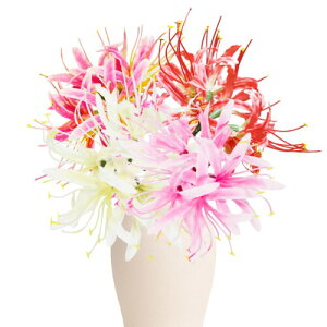 siawadeky  ֎썹 ފ݉ 4{Zbg qKoi  ͂Ȃ sv QSzȂ u[P A[gt[  ԍ Ԍ|p CeA   ItBX X 