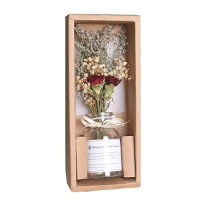 hCt[u[P KX {g u[P  kX^C lHϗtA fR[VhCԕr KX Of[V ԕrt  Vv Ƃ̑ (J[l[g)