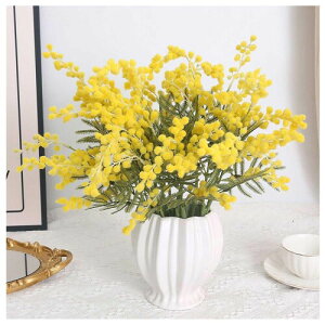 AJVA  5{  ͂Ȃ sv c lHϗtA  Vv Ƃ̑ CeA  Mtgp t[AWg ʐ^Be JXjo^Cf