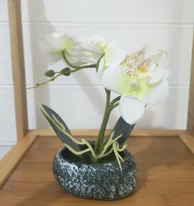 lHϗtA Ӓ  G}H ^ D^̔A ΔCeA tFCN VNt[ Ӓ Vzj JXjMtgɍœK v[g hV̓ (Δ, )